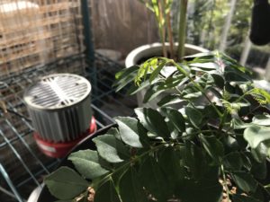 温室用ヒーター heater for green house